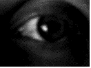 Bild 6 von 20  -  85 kB