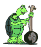 Turtle.gif (18242 Byte)