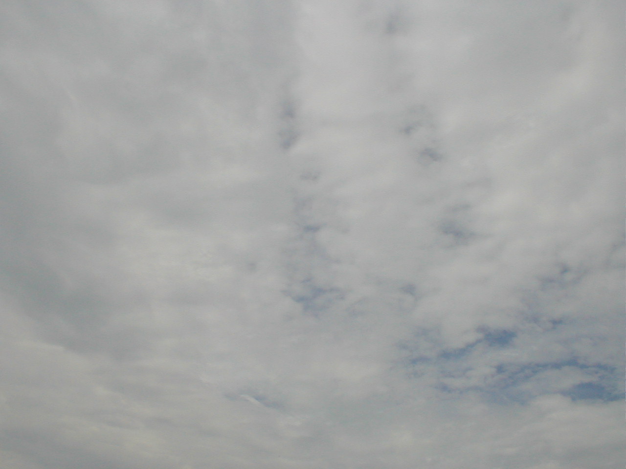 Image 46 of 59  -  123 kB